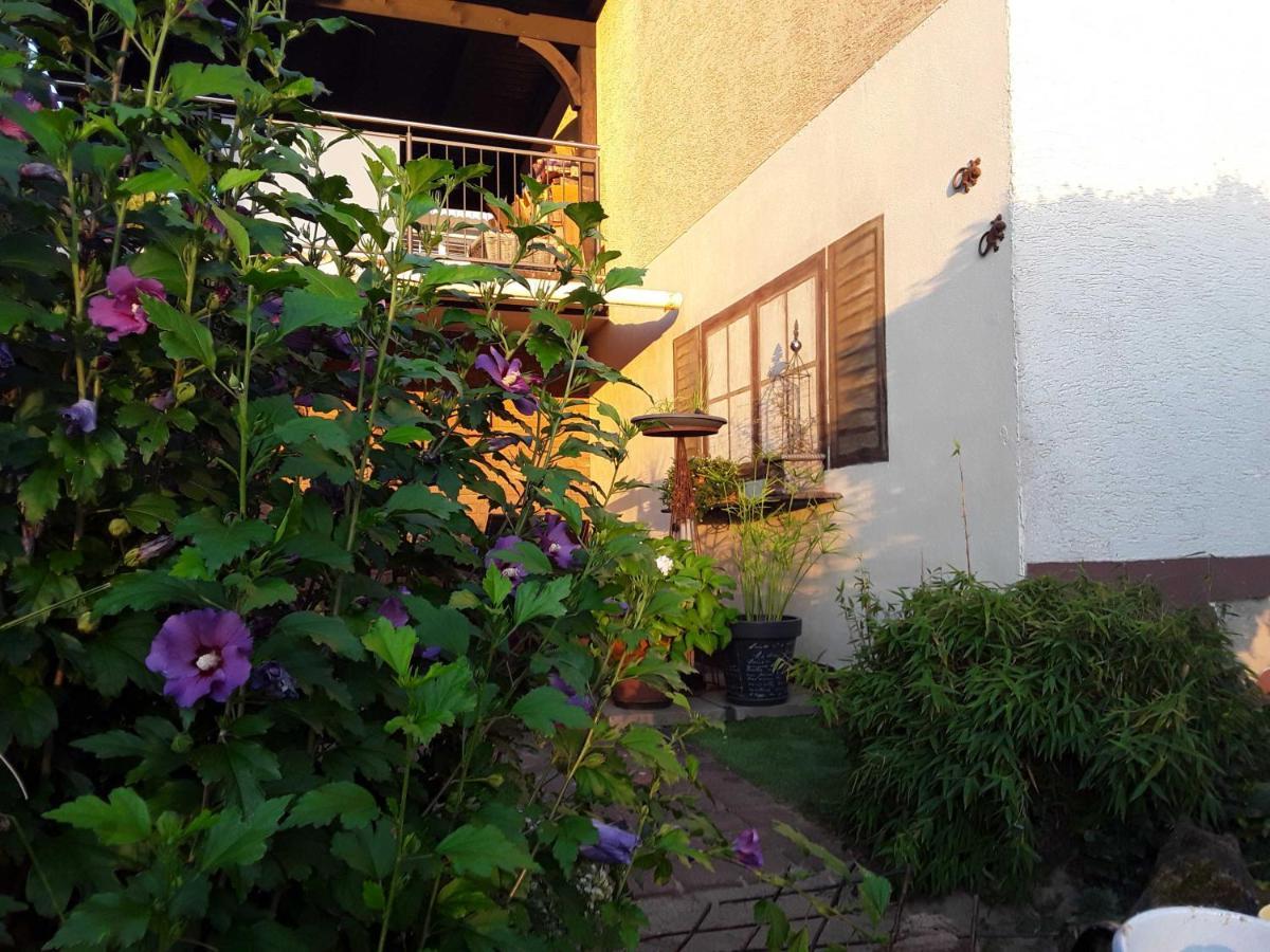 Haus Sonnenblick Appartement Momlingen Buitenkant foto